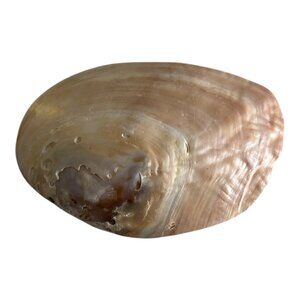 Natural Mother of Pearl Shell Dish – Iridescent Coastal Decor – 6x4.25 Inch Poli